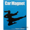 Martial Arts Magnet