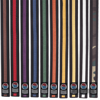 ProForce® 1.75&quot Double Wrap Color Striped Black Karate Belt