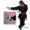 Kung Fu Training Ring